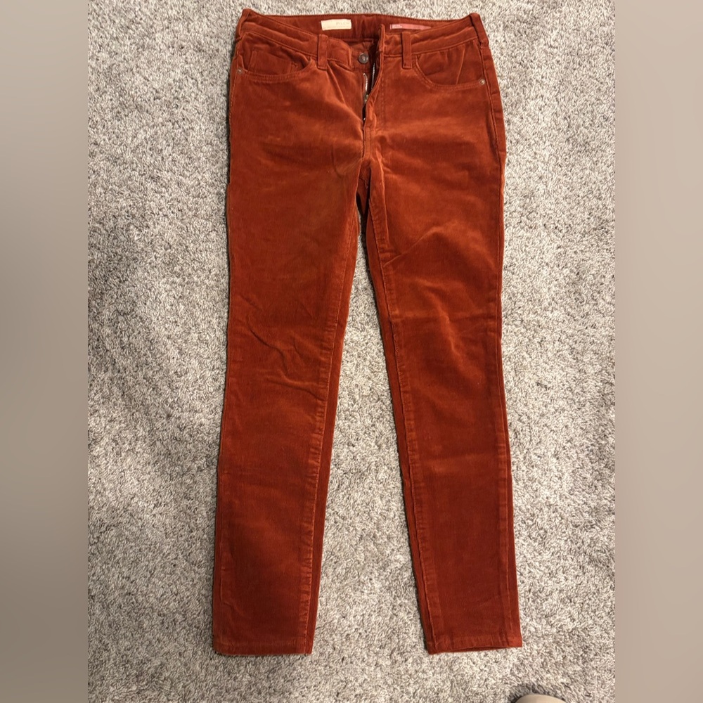 Pilcro stretchy straight leg, Rust Corduroy Pants from Anthropologie.